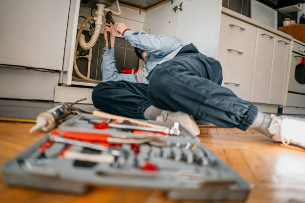 Best Sprinkler Systems  in Long Prairie, MN