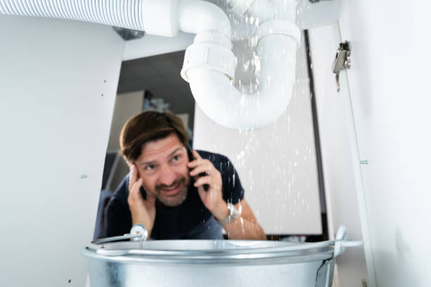 Best Clogged Drain Plumber  in Long Prairie, MN