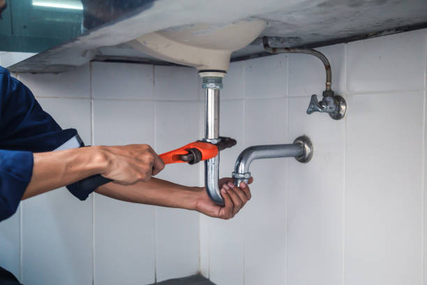 Best Local Plumber Services  in Long Prairie, MN