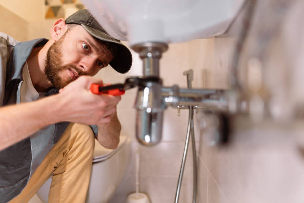 Best Plumbing Services Near Me  in Long Prairie, MN