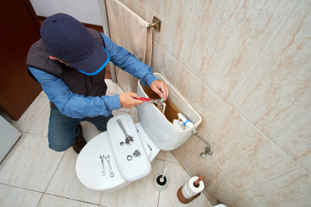 Best Local Plumber Services  in Long Prairie, MN