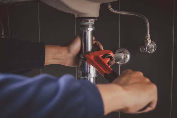 Best Affordable Plumber Near Me  in Long Prairie, MN