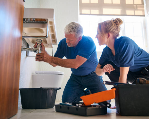 Best Plumbing Repair Near Me  in Long Prairie, MN