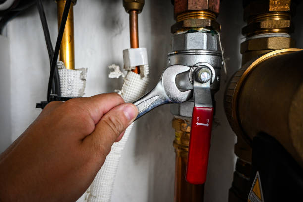 Best Same-Day Plumbing Service  in Long Prairie, MN